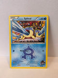 Team Aqua's Spheal 3/34 – Pokémon TCG Double Crisis (2015) – LP/MP [001]